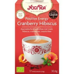 3x Yogi tea Positive Energy Biologisch 17 stuks