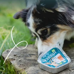 Yarrah Bio Alu Paté Grainfree Hondenvoer Nat Kip & Eend 150 gr