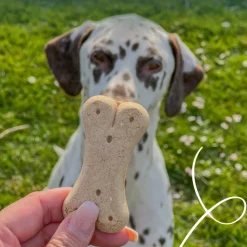 Yarrah Bio Hondenkoekjes Vegetarisch 500 gr