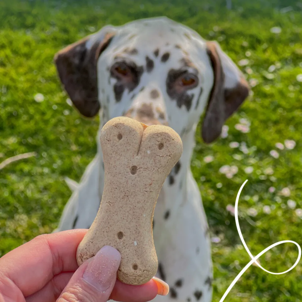 Yarrah Bio Hondenkoekjes Vegetarisch 500 gr