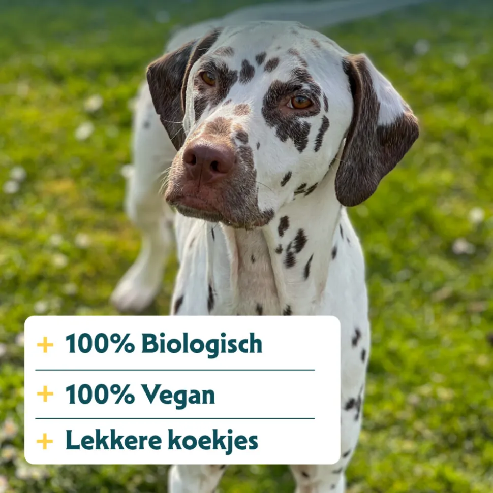 Yarrah Bio Hondenkoekjes Vegetarisch 500 gr