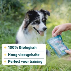 Yarrah Bio Hondensnack Mini Bites 100 gr