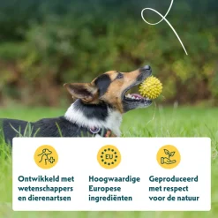 Yarrah Bio Hondenvoer Adult Small Breed Kip 2 kg