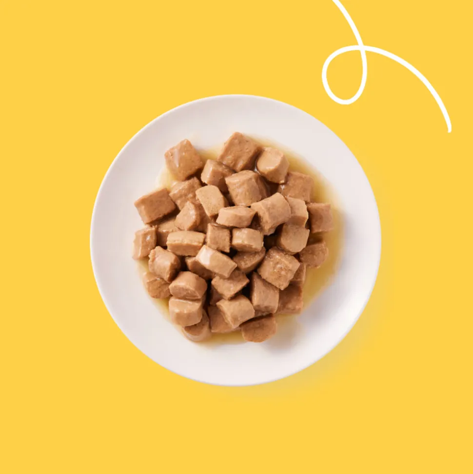 Yarrah Bio Hondenvoer Chunks Kip 820 gr