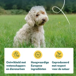 Yarrah Bio Hondenvoer Graanvrij Kip & Vis 2 kg