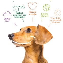 Yarrah Bio Hondenvoer Multipack Paté Graanvrij Kip & Kalkoen 6 x 150 gr