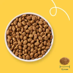 Yarrah Bio Hondenvoer Senior Kip 2 kg