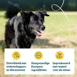 Yarrah Bio Hondenvoer Senior Kip 2 kg