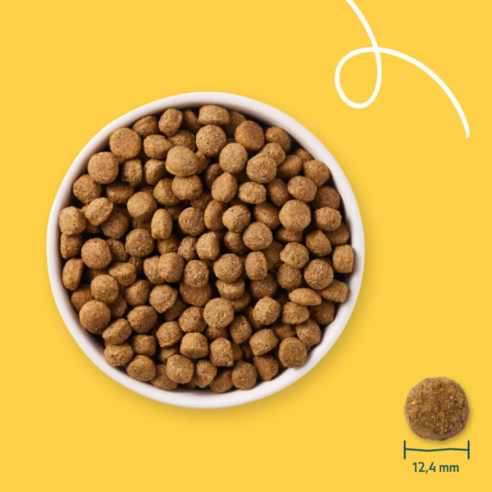 Yarrah Bio Hondenvoer Sensitive Adult Kip & Rijst 10 kg