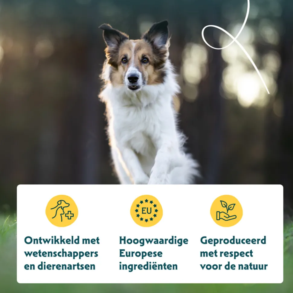 Yarrah Bio Hondenvoer Sensitive Adult Kip & Rijst 10 kg