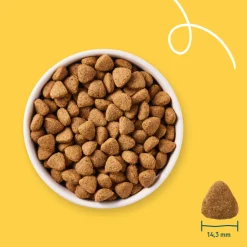 Yarrah Bio Hondenvoer Vegetarisch 10 kg