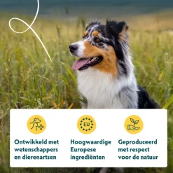 Yarrah Bio Hondenvoer Vegetarisch 10 kg