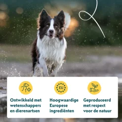 Yarrah Bio Hondenvoer Vegetarisch Tarwe Vrij 10 kg