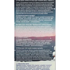 Yogi tea Christmas Biologisch 17 stuks