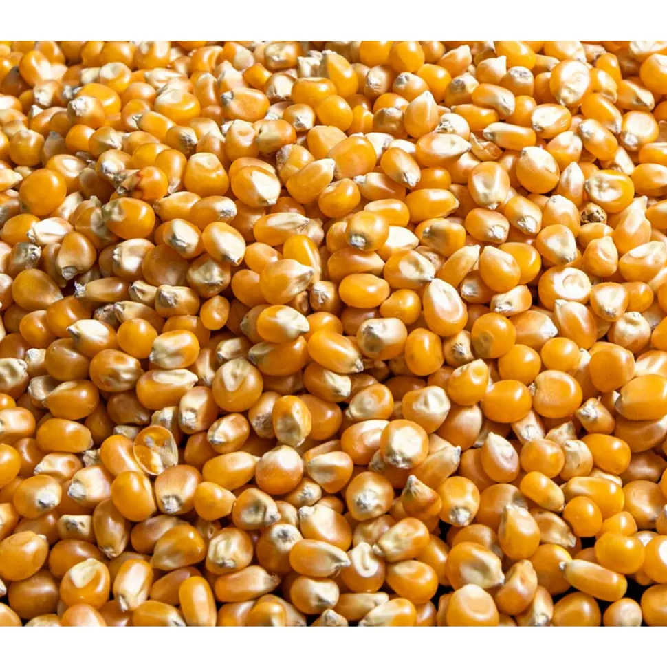 Your Organic Nature Pofmais Bio 400 gr